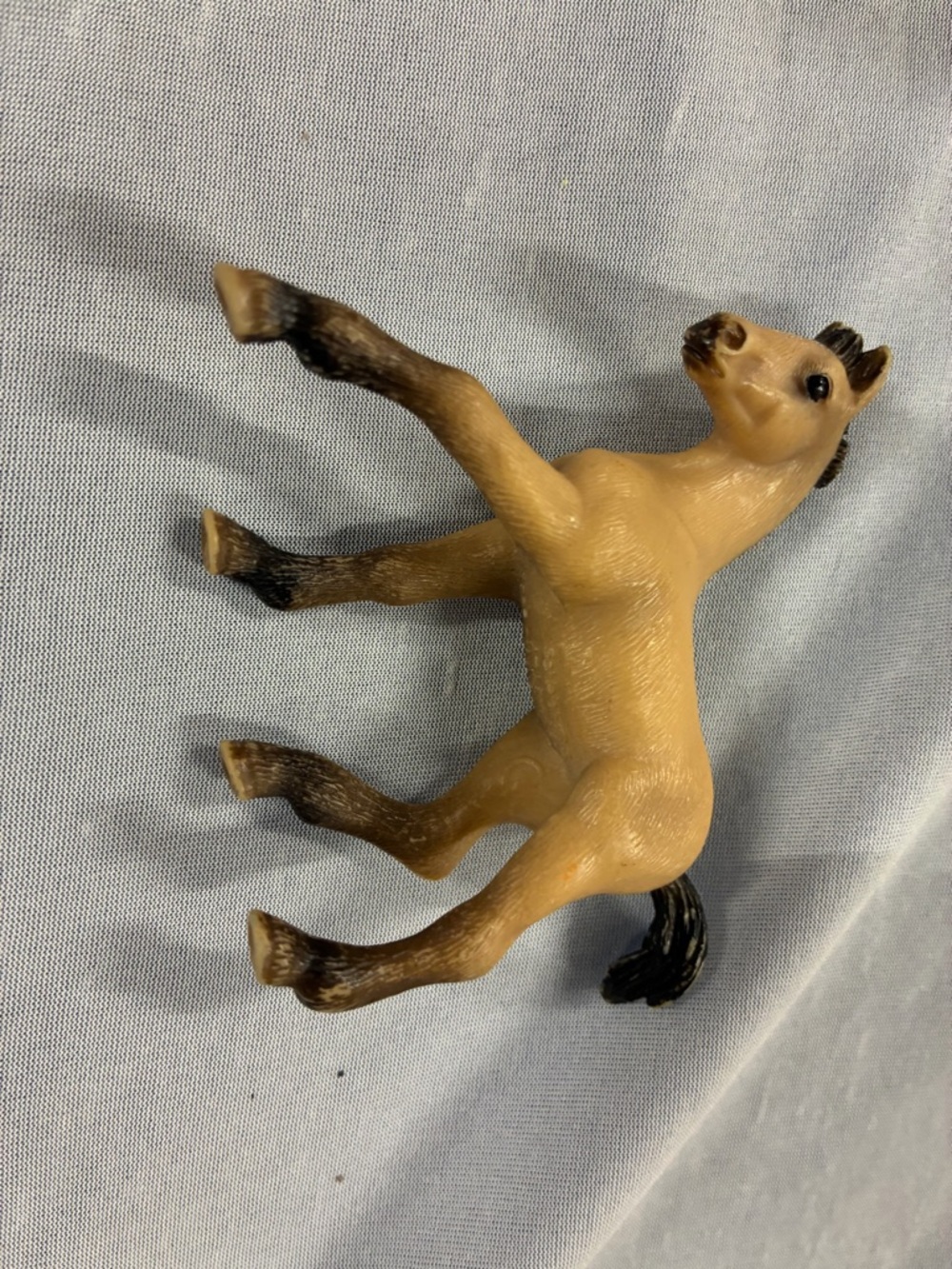 Schleich 2009 Andalusian Foal Horse 13669 Retired
